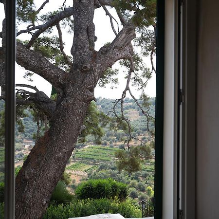 Uliveto Saglietto Agriturismo A Poggi Apartments Империя Экстерьер фото