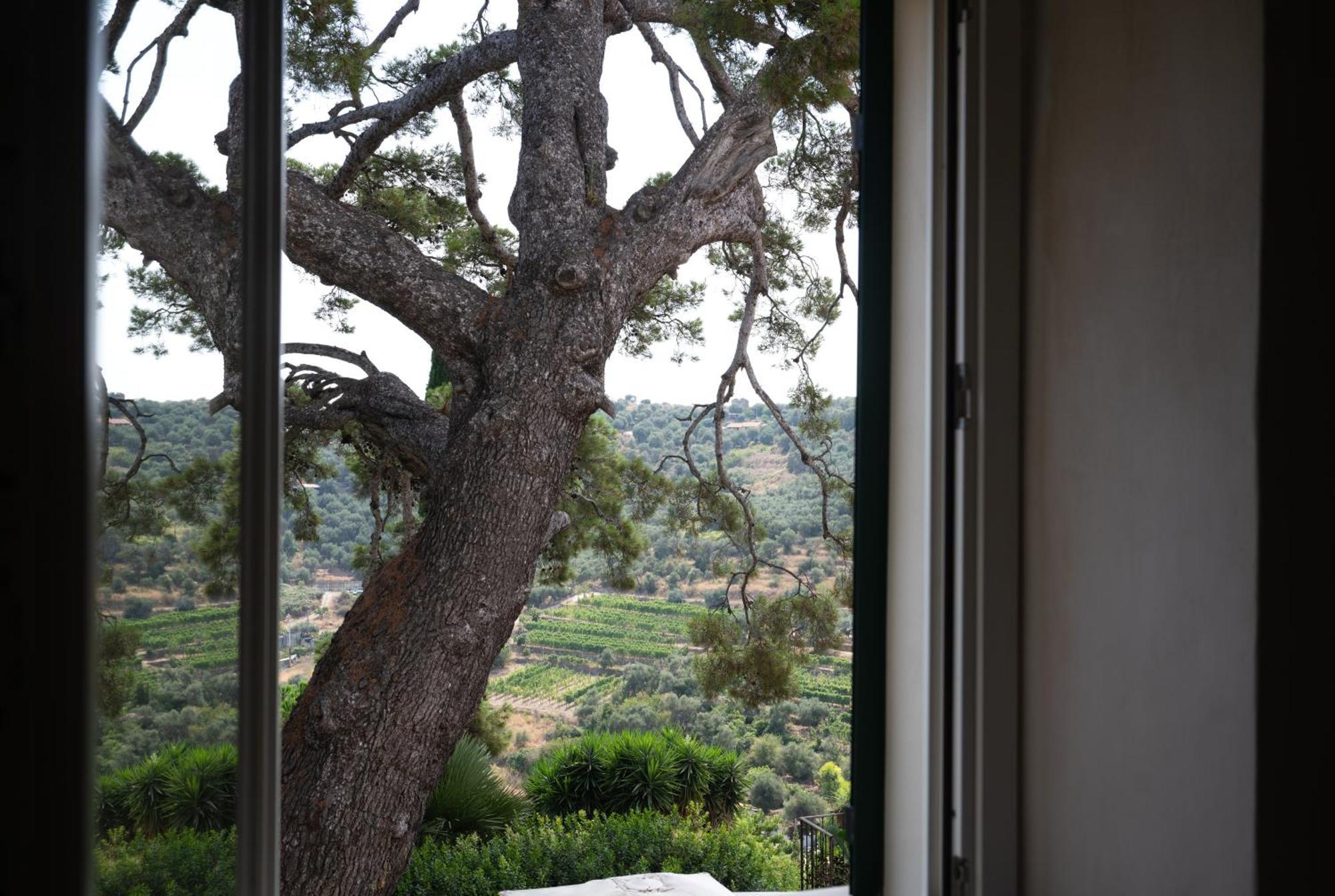 Uliveto Saglietto Agriturismo A Poggi Apartments Империя Экстерьер фото